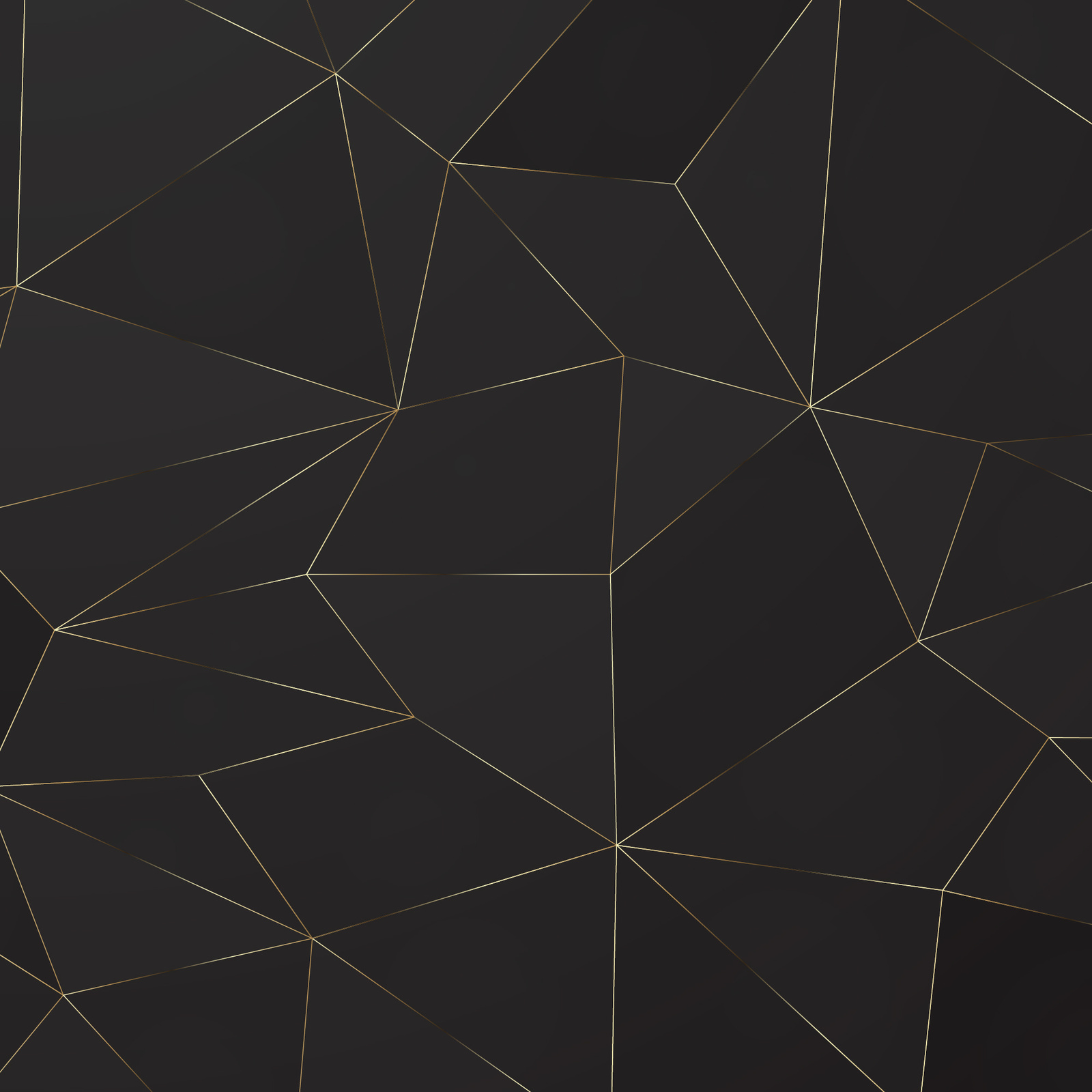 Black and Gold Line Pattern